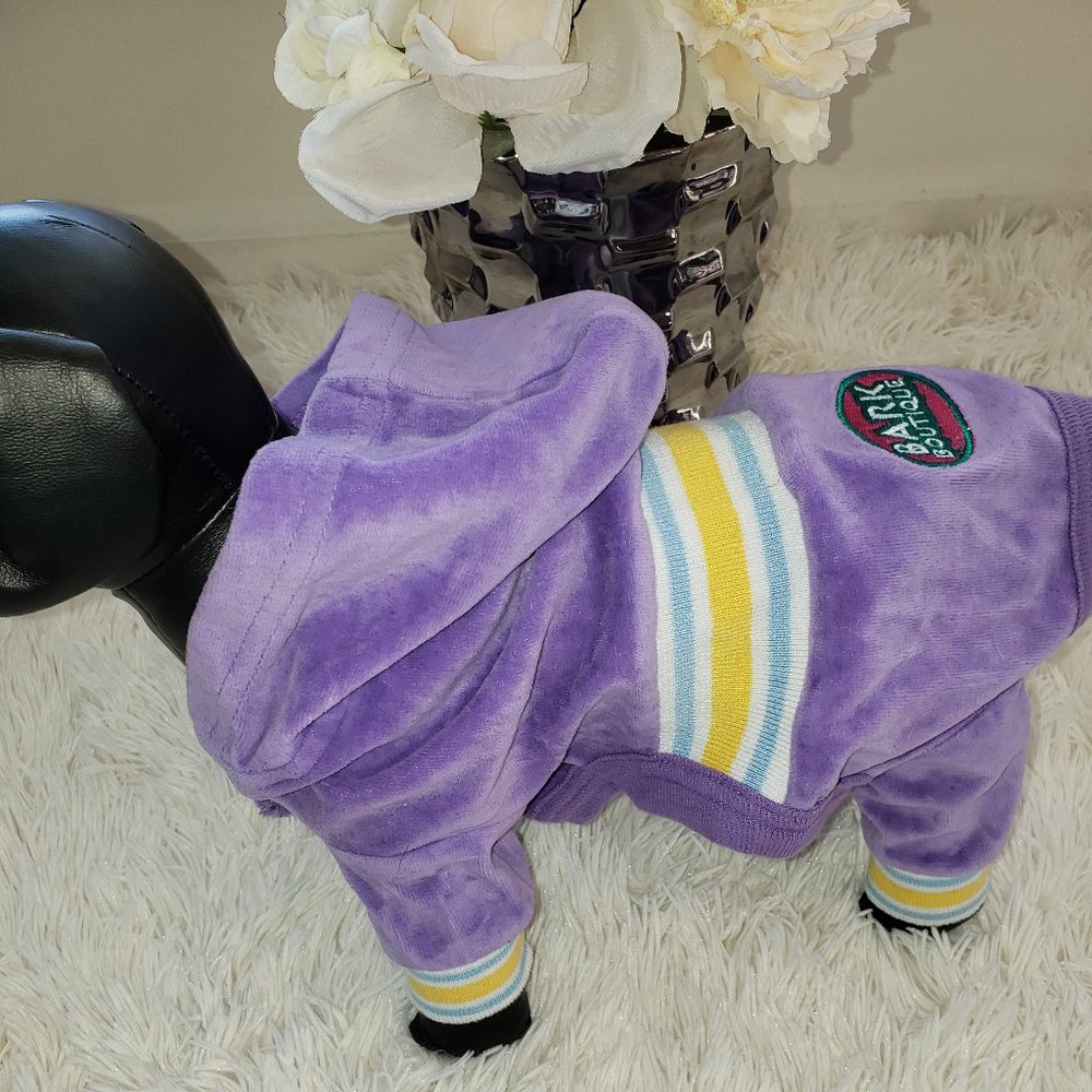Purple Hooded Sweatsuit (Small Dog)